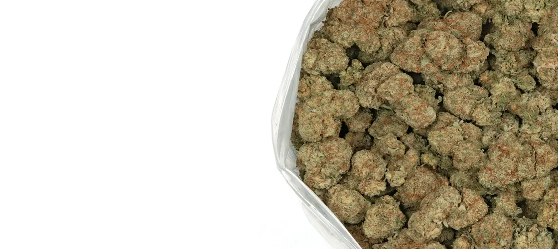 Featured: THCA Flower